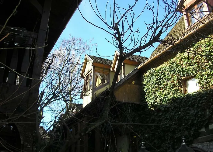 Appartement Le Riesling Bergheim